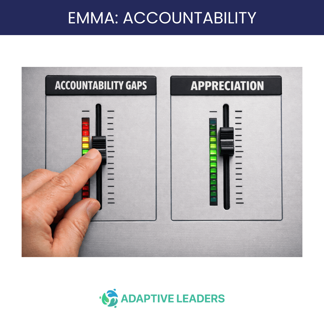 EMMA @ Home: Accountability – Part 2 1